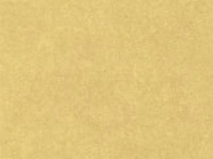 smms無紡布07