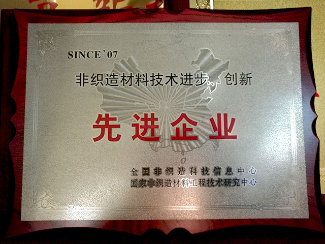 非織造材料技術(shù)進(jìn)步、創(chuàng)新－先進(jìn)企業(yè)