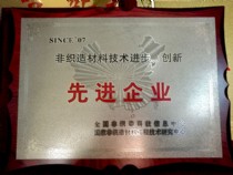 非織造材料技術(shù)進(jìn)步、創(chuàng)新－先進(jìn)企業(yè)