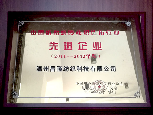 中國(guó)紡粘熔噴非織造布行業(yè)－先進(jìn)企業(yè)